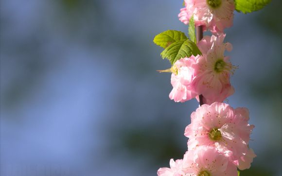 长油退市了吗 长油重新上市